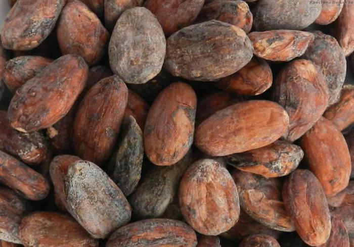 Слово «шоколад» происходит от ацтекского «xocolatl»