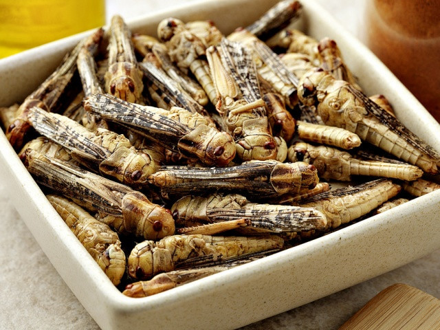 Chapulines / Чапулинес (Мексика)