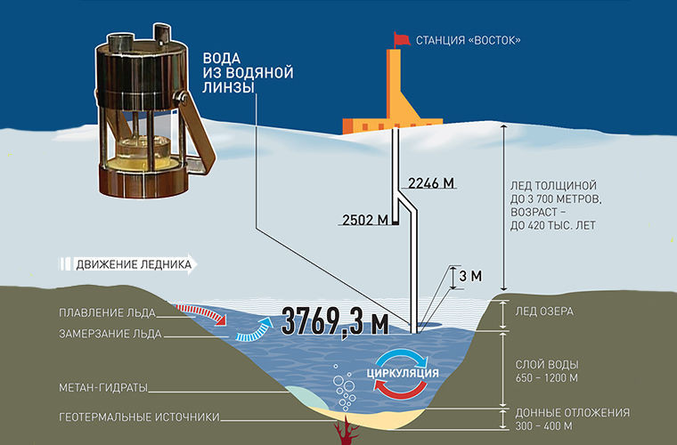 Ископаемая жизнь