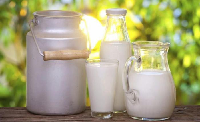 Продукты, обеспечивающие организм белком