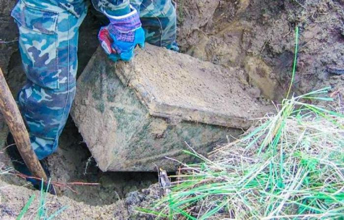 Какие сокровища можно найти в собственном дворе