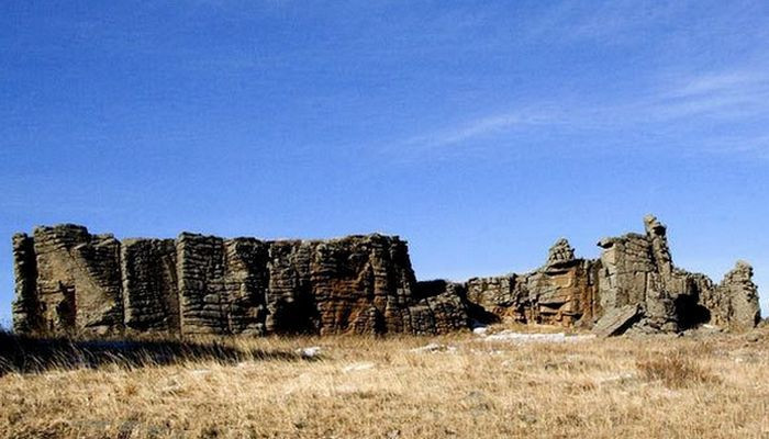 5. Окаменелый лес эпохи Перми. Монголия