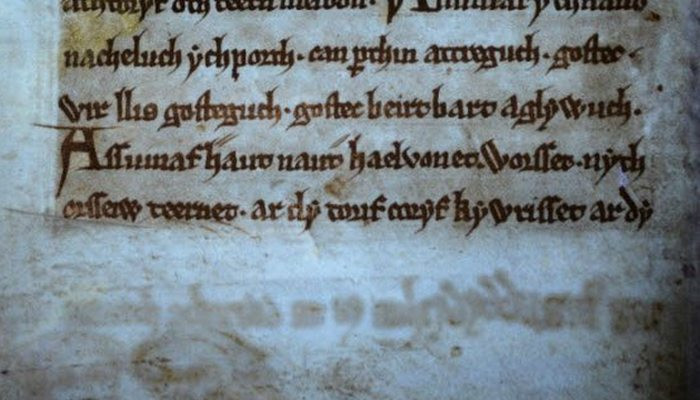 10. «Черная книга из Кармартена»