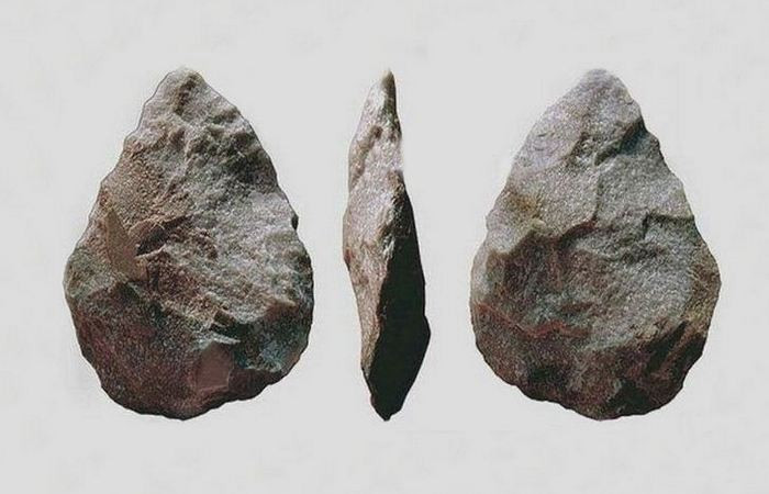 10. Музыкальная эволюция мозга
