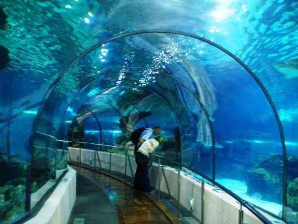 Барселонский Аквариум, Испания