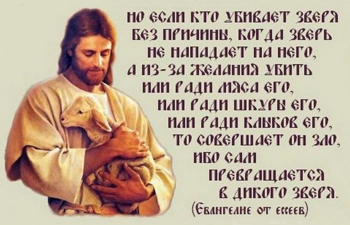 3. Евангелие Мира