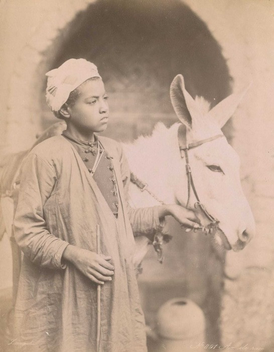 5. Проводник