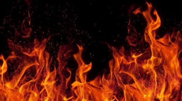 Доказательство насильственных действий пр убийстве