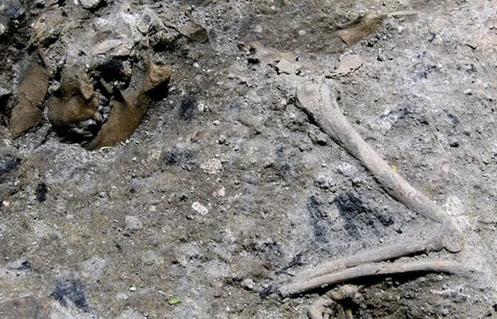 4. Окаменевшее пожарище