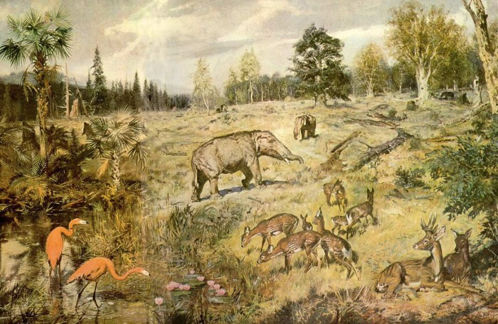 7. Где ваши корни