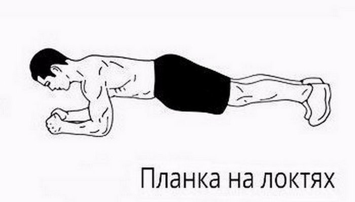 3. Метаболизм