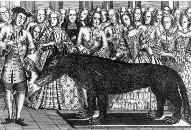 8. Жеводанский зверь (1764–1767)