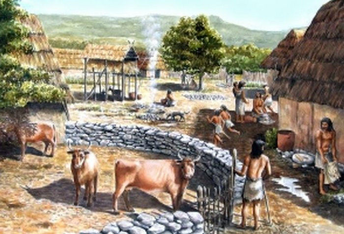 2. Сыр и непереносимость лактозы