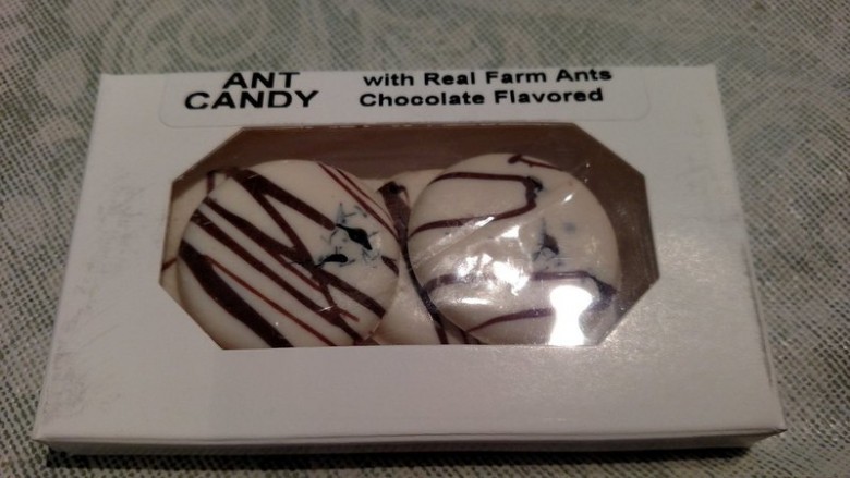 6. Ant Candy.