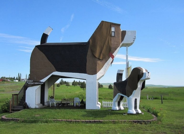 Отель в собаке