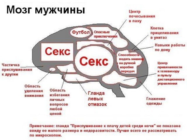 Мужчины не думают о сексе каждые 7 минут