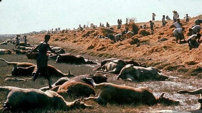 Землетрясение и цунами в Индийском океане в 2004 году