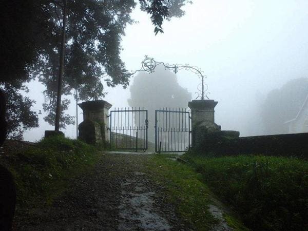 Dow Hill Forest, Индия