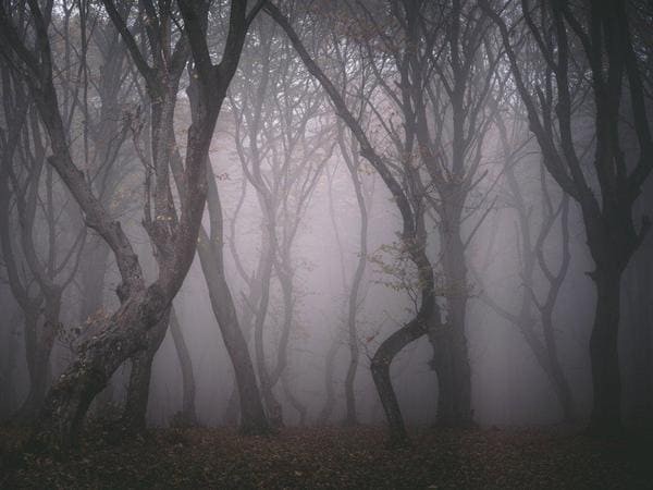 Хойя-Бачу, Румыния