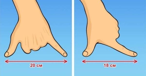 6. Измерить длину небольших предметов без линейки