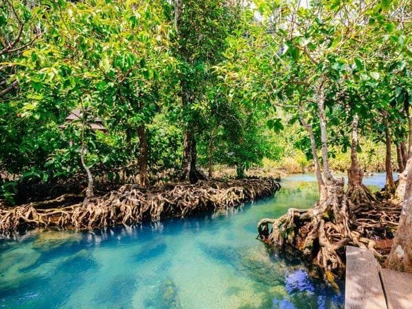 Pa Phru Tha Pom Khlong Song Nam, Таиланд