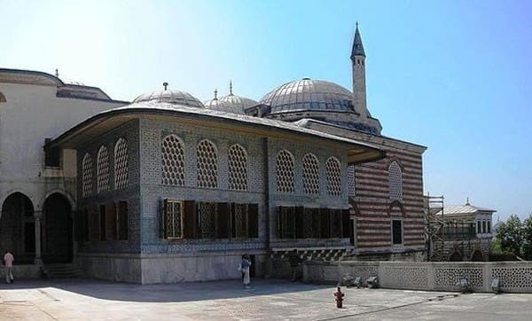 Клетки