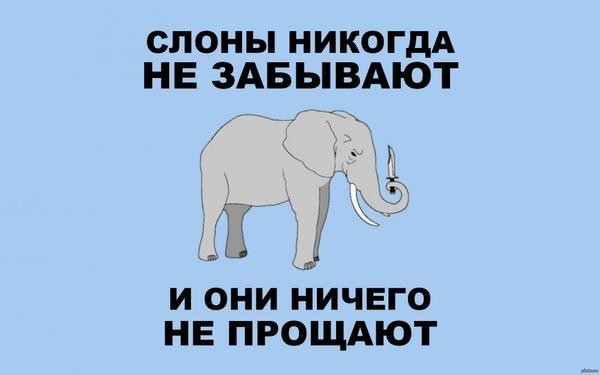 Нервная система слона