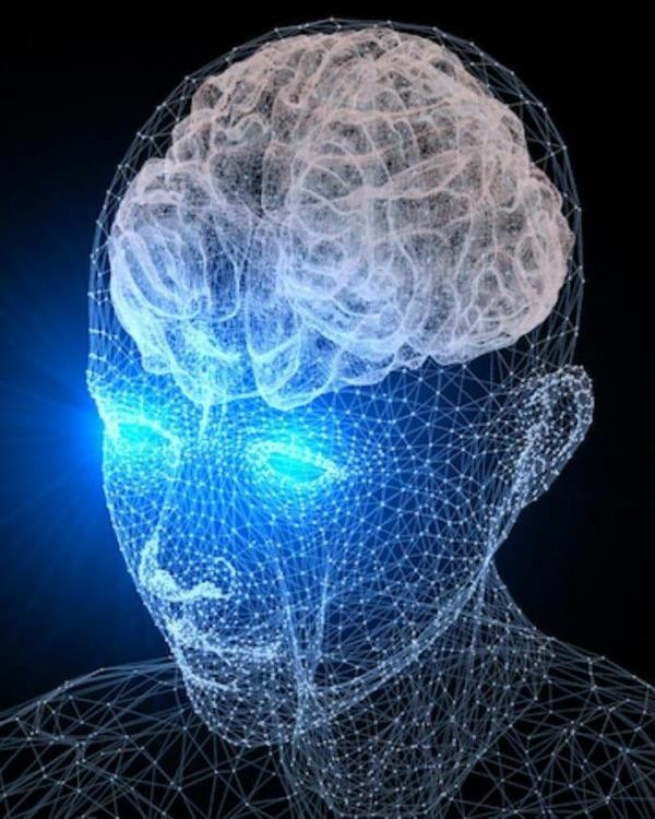Сотрудничество Nectome с другими ассоциациями