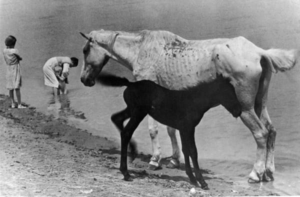 1937. Материнство.