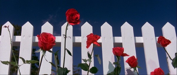 Синий бархат / Blue Velvet (1986)