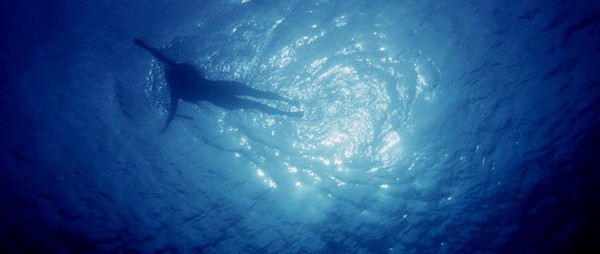 Челюсти / Jaws (1975)