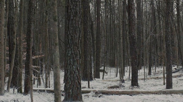 Пленницы / Prisoners (2013)