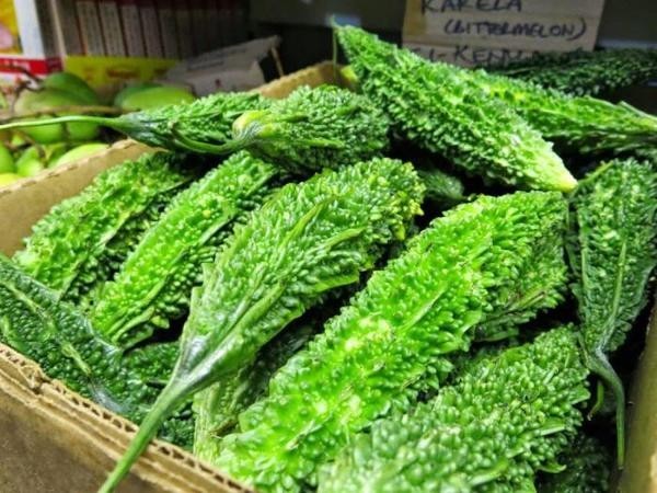 Карела (горький огурец)