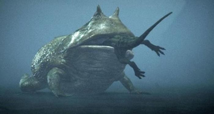 08. Beelzebufo