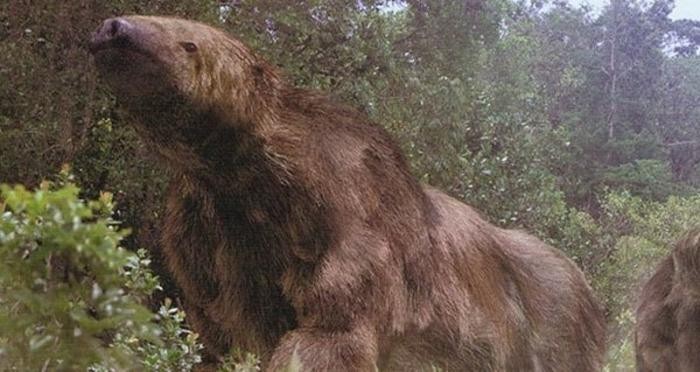 09. Megatherium