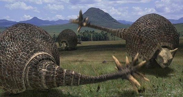 05. Doedicurus