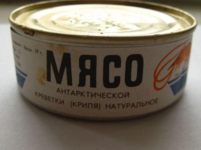 7. Криль