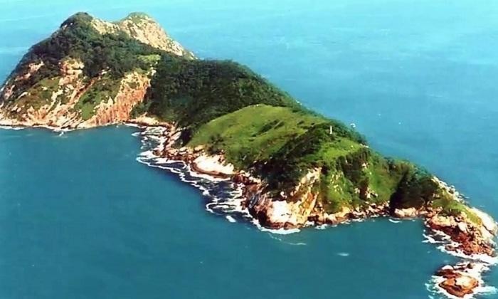1. Змеиный остров (Бразилия)