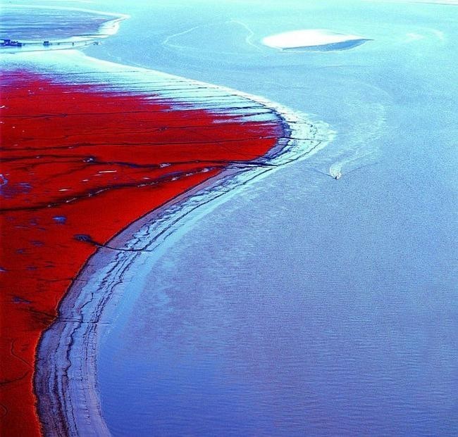 Красный пляж, Китай