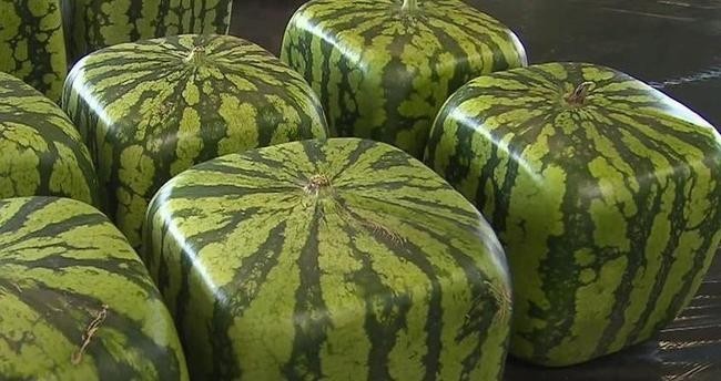 4. Квадратные арбузы.