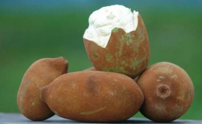Купуасу