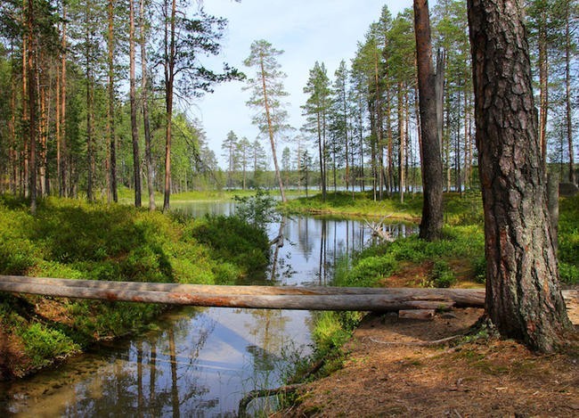 Хосса