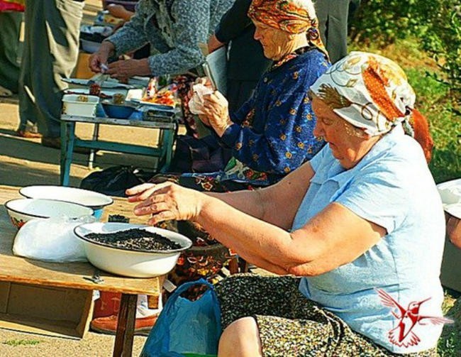 2. Лузгать семечки