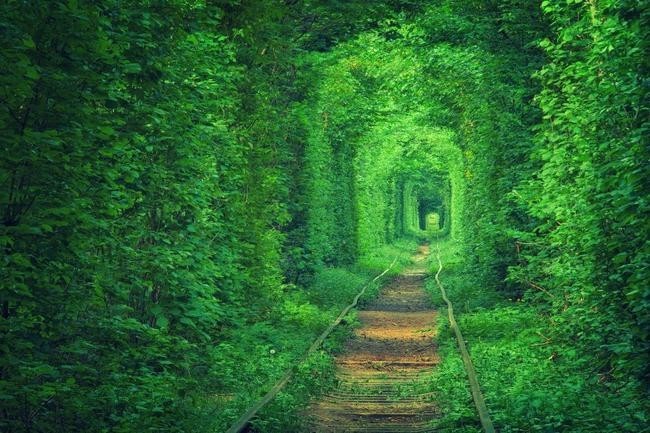 Туннель Любви, Клевань