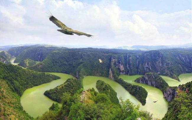 Каньон Увац