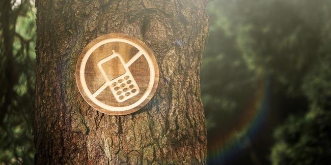 9. Отдохните от гаджетов