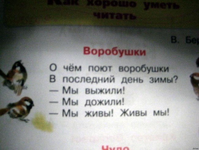 12. Какой оптимистичный стишок!?