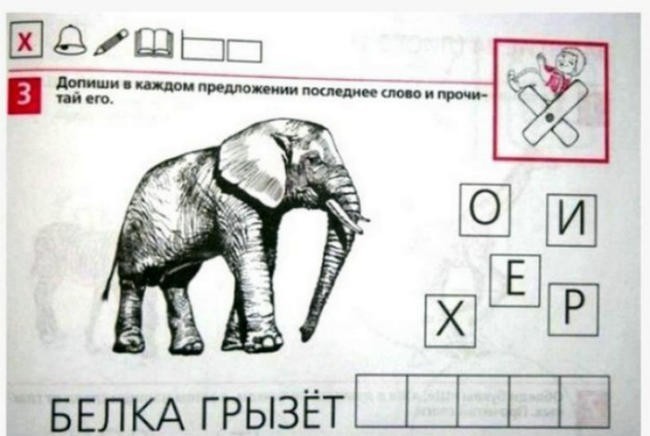 16. Я думаю, белка грызет автора этого учебника