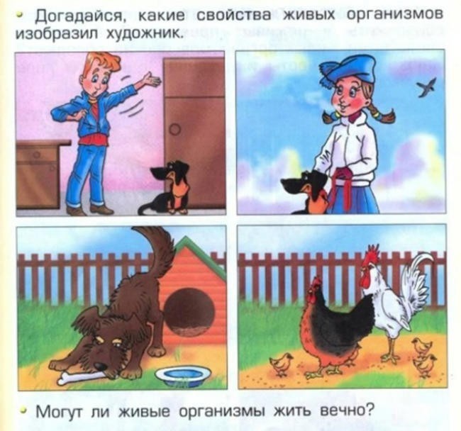 17. «Нет, не могут! Все умрут, абсолютно все!»