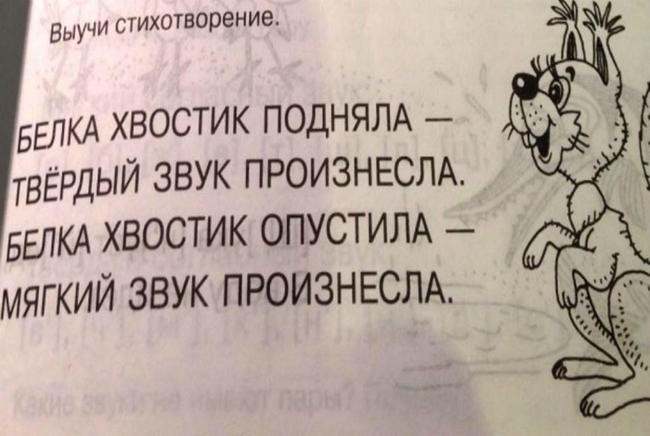 9. Фу, какая не воспитанная белка!